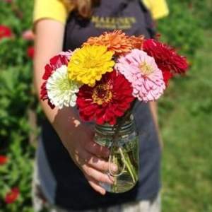 The Local Buzz Tour: Five Oxford Fresh stops within 24 minutes