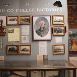 Cheese Factories