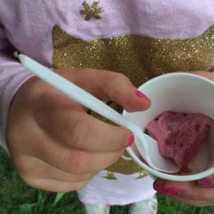 Eating Paneer Berry Ice