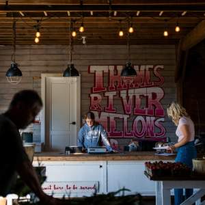 Thames River Melons: A Pick-Your-Own Paradise and Cozy Farm Market