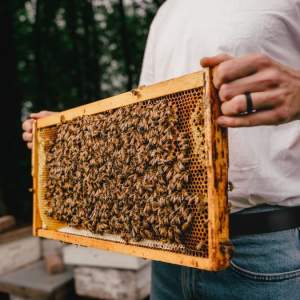 Man holding a beehive