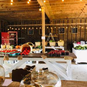 Thames River Melons: A Pick-Your-Own Paradise and Cozy Farm Market