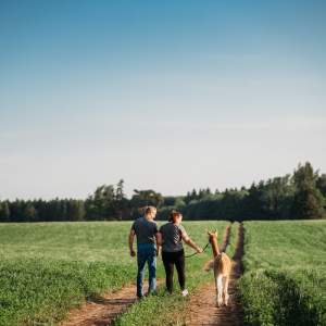 Udderly ridiculous farm life
