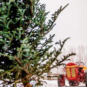 Tractor in the snow
