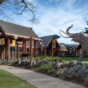 Free First Friday at the Museum of Natural and Cultural History