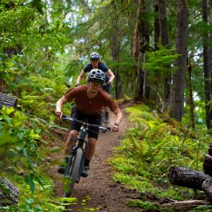 Cog Wild Bicycle Tours
