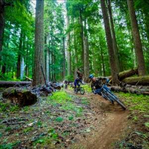 Mountain Bike Shuttles in Oakridge & Westfir