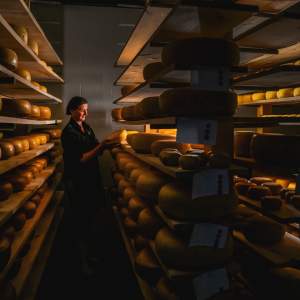 New Galma Dairy & Creamery