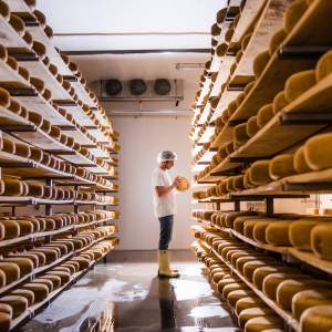 Gunn's Hill Artisan Cheese Ltd.