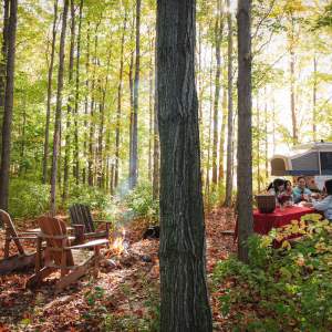 Greener Pastures Eco Farm