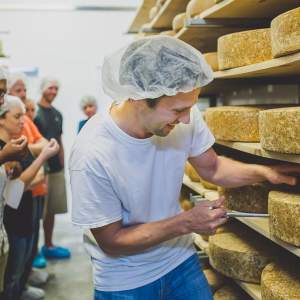 Gunn's Hill Cheese Plant Tour and Tasting
