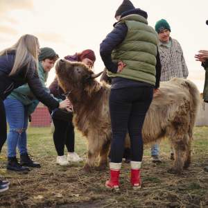 Udderly Ridiculous Farm Life
