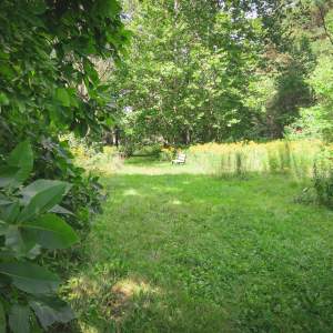 W.L. Dickson Arboretum