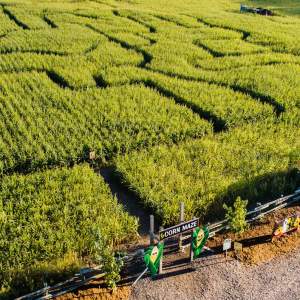 Snyder's Family Farm