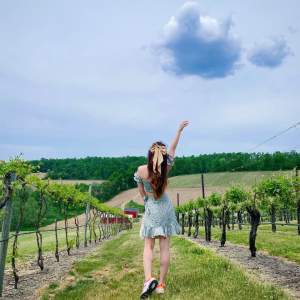 Galen Glen Vineyard and Winery