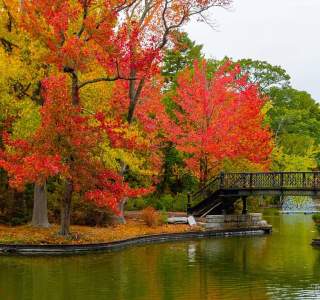 Fall