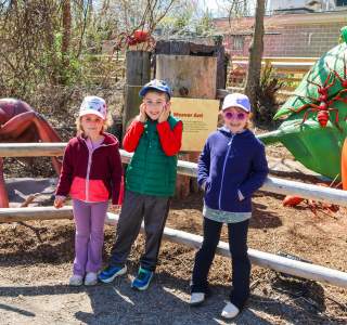 RWP Zoo - Bugs