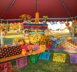 Dí​a de Los Muertos in Providence