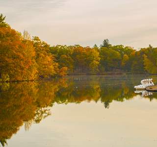 Leaf Peepers Rejoice!