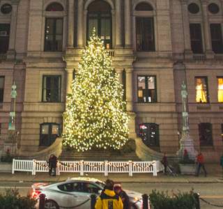 City Hall Tree Lighting