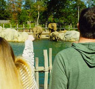 Family At The Roger Williams Park Zoo In Providence, RI