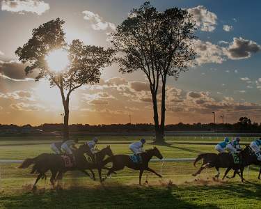 Lexington, Kentucky's Calendar of Events
