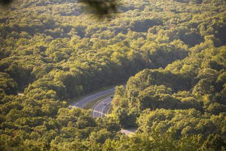 bluemont