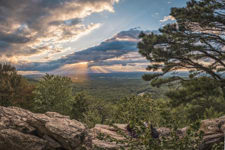 bears den - miles