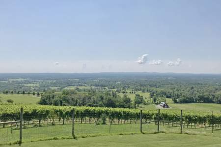 Overlooking Russ Mountain vineyard with a mostly clear sky view