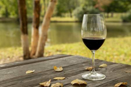 Glass of red wine on a picnic table with fall colored leaves and a pond in the background