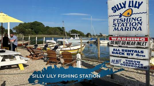 Silly Lily Fishing Station