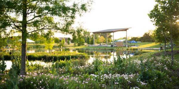 Moncus Park, Lafayette Louisiana