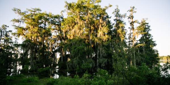 Miles.LOT.PK.LakeMartin.001