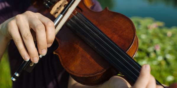 Fiddle