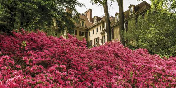 Winterthur Museum, Garden & Library