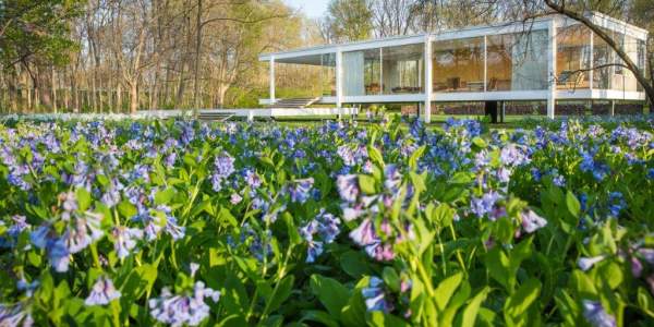 Edith Farnsworth's Country House Celebrated in 2020 | EnjoyAurora.com