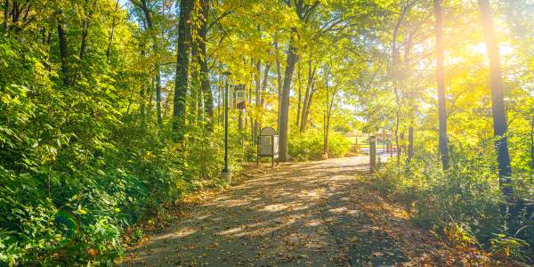 Drew Pertl - Red Oak Nature Center