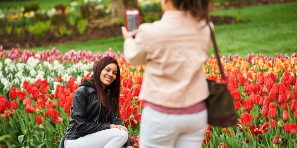 Spring into the Arts