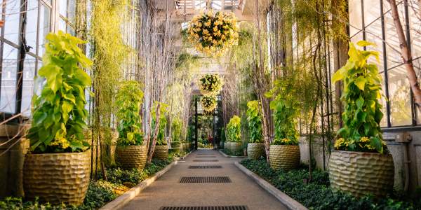 A Cozy February Getaway