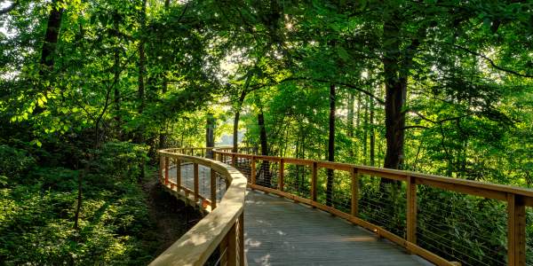 Longwood Meadow Path