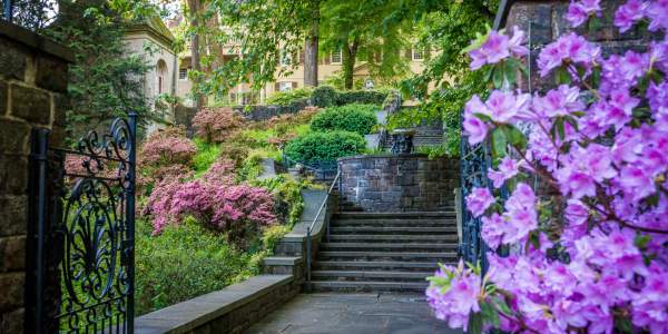 Winterthur Museum & Library
