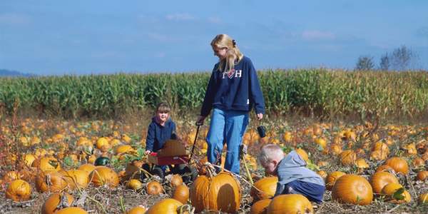 Deep Well Farm & Corn Maze