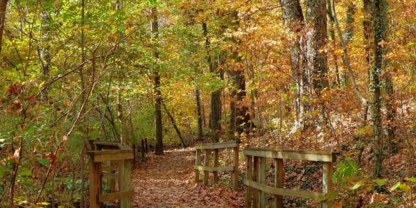 Fall at Ijams