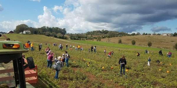 Maple Lane Farms Corn Maze & Pumpkin Patch