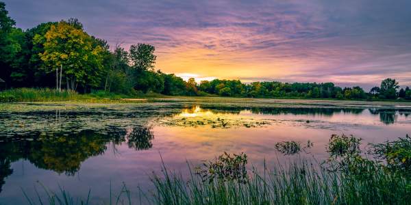 Grand Mere North Lake Park - Stevenville