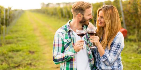 Wineries - Petoskey Wine Region
