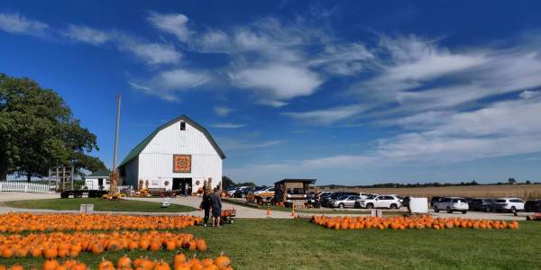 Sugar Grove Pumpkin Farm
