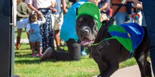Aurora Pooch Parade