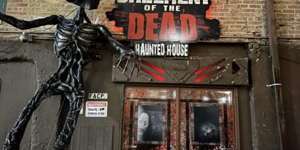 Basement of the Dead