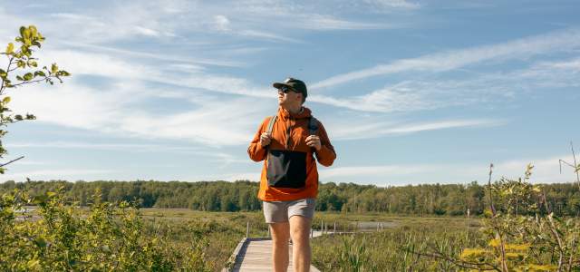 a person walks a boardwalk over a marshy pond